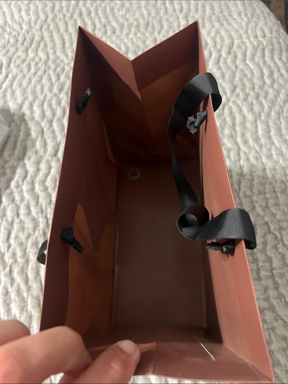 SKIMS Gift Bag with Black Ribbon Handles - Picture 6 of 6